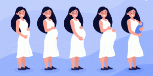تغییر سایز در بارداری